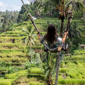 Viaggio di gruppo a Bali. Terrazza di riso