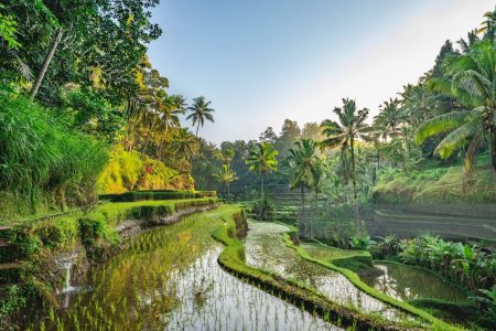 Viaggio di gruppo a Bali, tra natura e cultura – dal 18 al 29 Agosto 2026