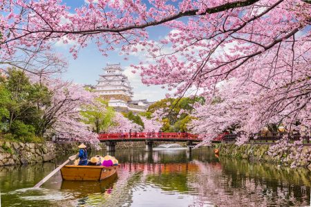 Hanami in Giappone : città iconiche, onsen e tradizione dal 21 marzo al 03 aprile